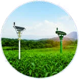 Monitoring devices in a field