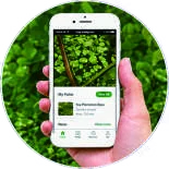 Crop information on a phone app