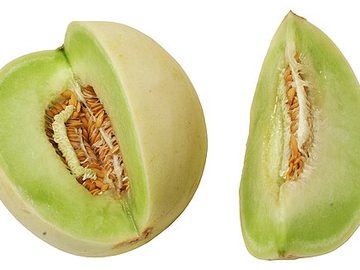 Honeydew melon
