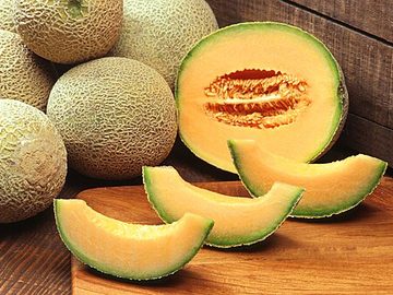 Rock melon
