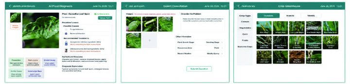 Diagnostic device software screens
