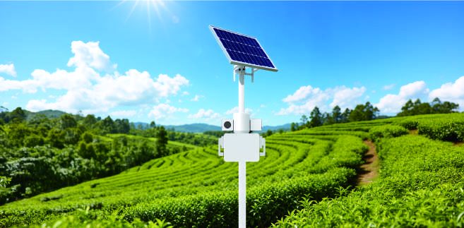 Solar crop health monitor on a pole in a tea garden