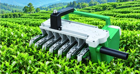 Tea plucking machine in a tea garden